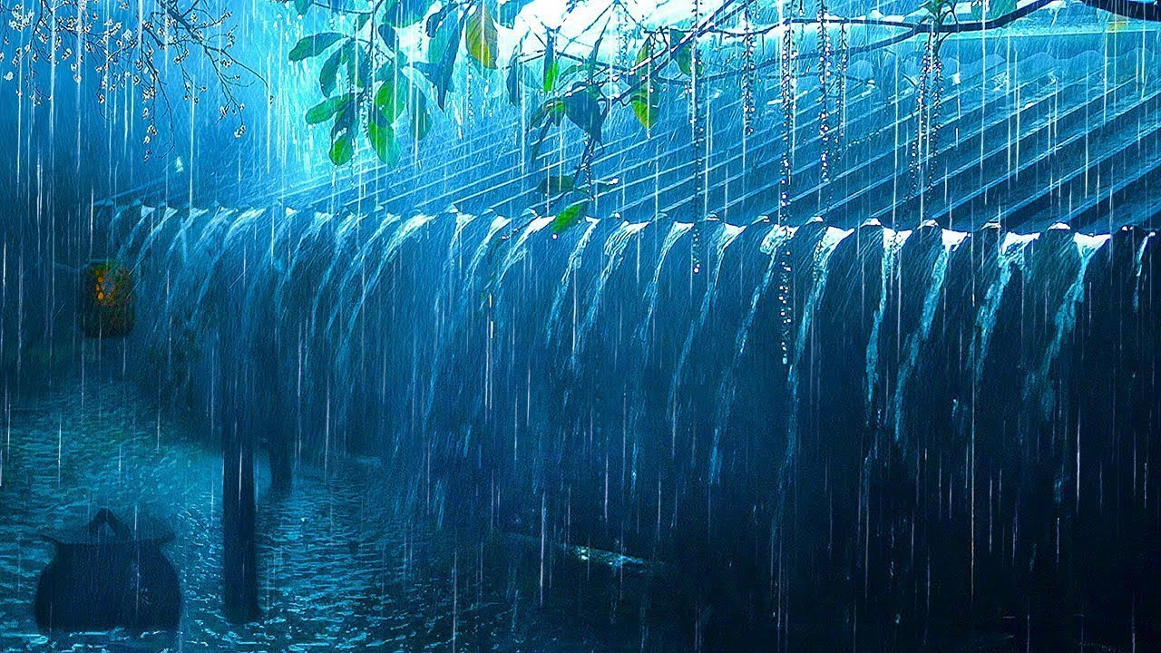 Прощай, бессонница со звуком Heavy RAIN | Звуки дождя на старой крыше в туманном лесу ночью, АСМР 🌧
