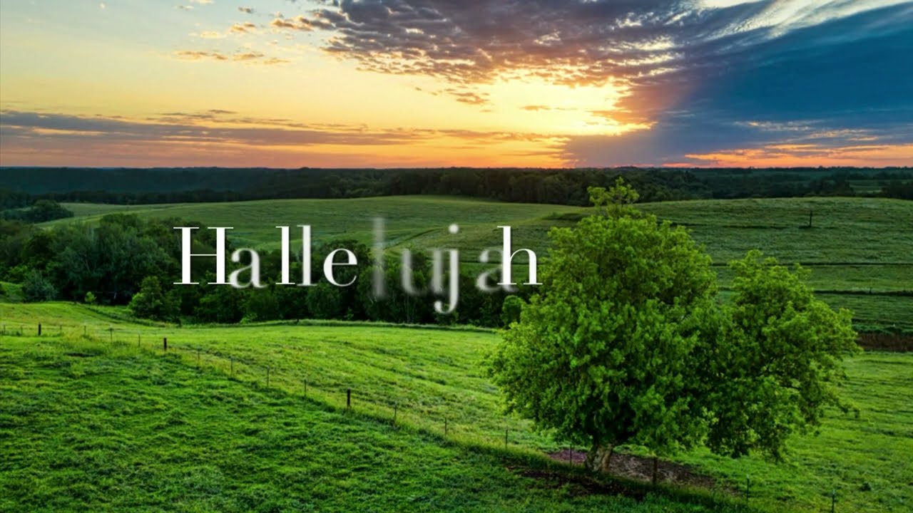 Hallelujah(Leonard Cohen cover) 4k30