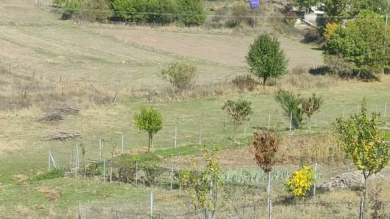 Niksar Başçiftlik sonbahar dagustu köyümüz