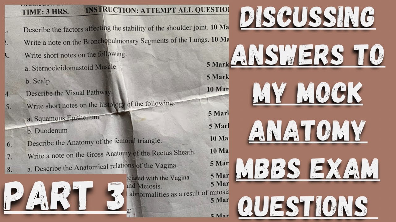 (PART 3) MY MOCK MBBS EXAM ANATOMY QUESTION PAPER||Let's discuss the answers!!