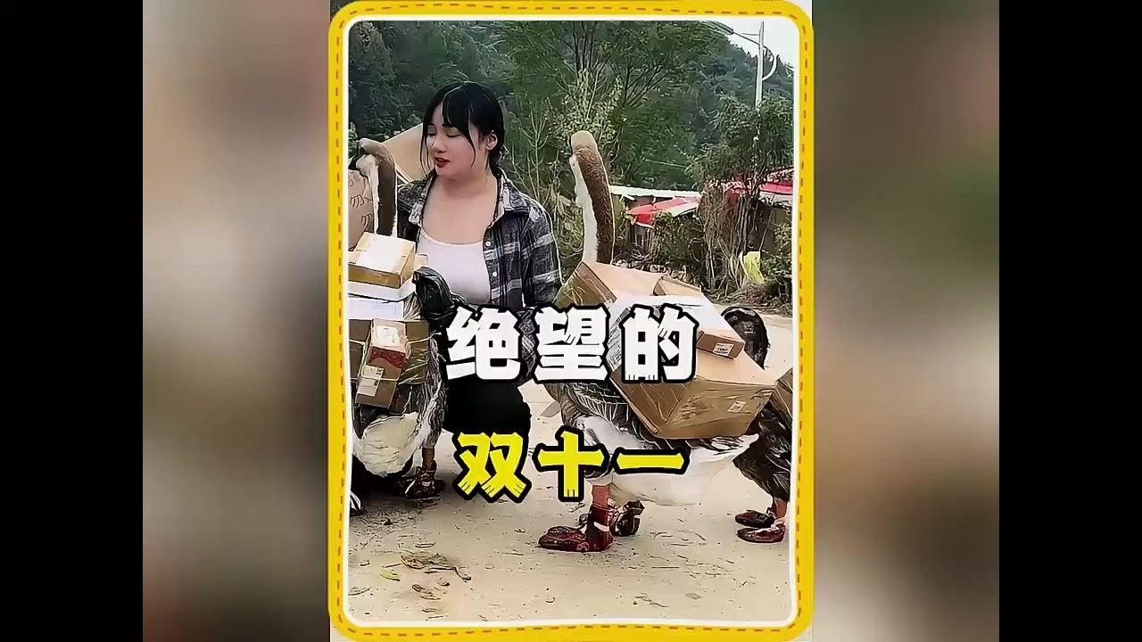 盘点让男友绝望的双十一又来了！
