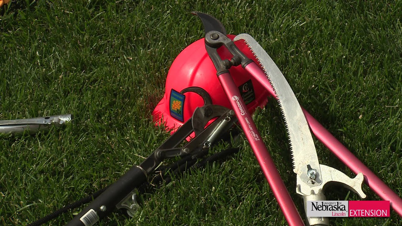 Structure Pruning