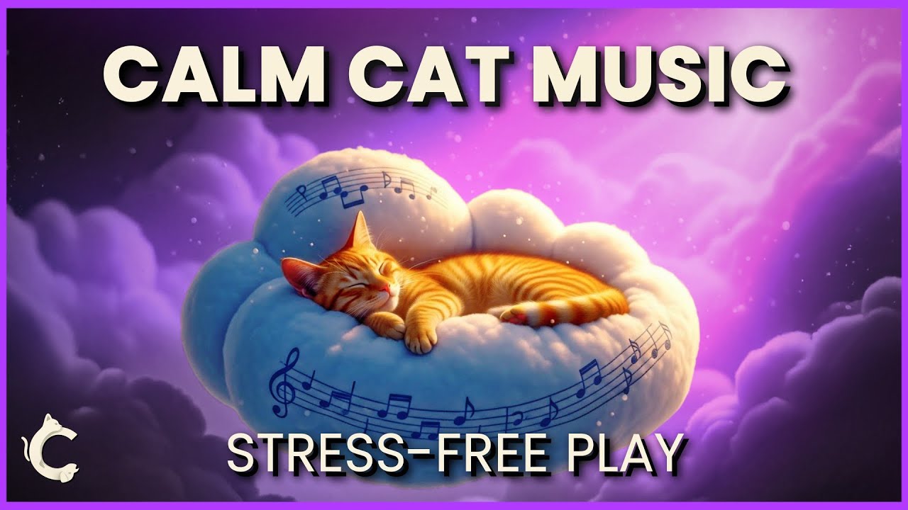 Calm Cat Music 🐾 Soothing Sounds for Relaxation, Happiness & Stress‑Free Play