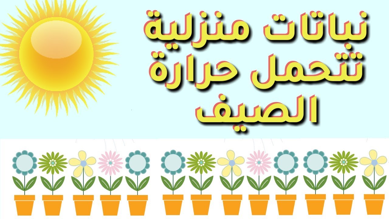 نباتات منزلية تتحمل اشعة الشمس الحارقة في فصل الصيف