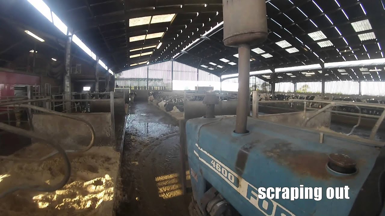 scraping out with ford 4600
