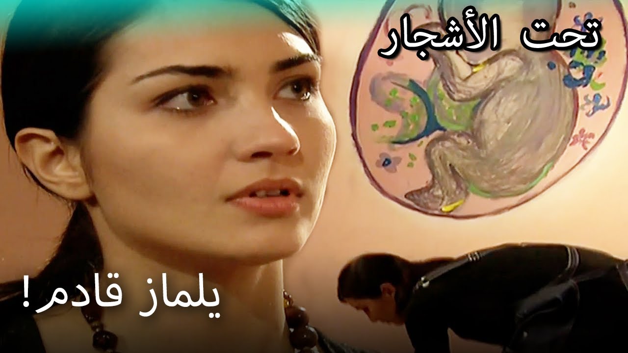 فيليز تخفي أنها حامل! - القسم الخاص تحت الزيزفون
