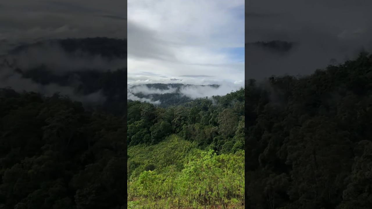 Hutan lindung Aceh