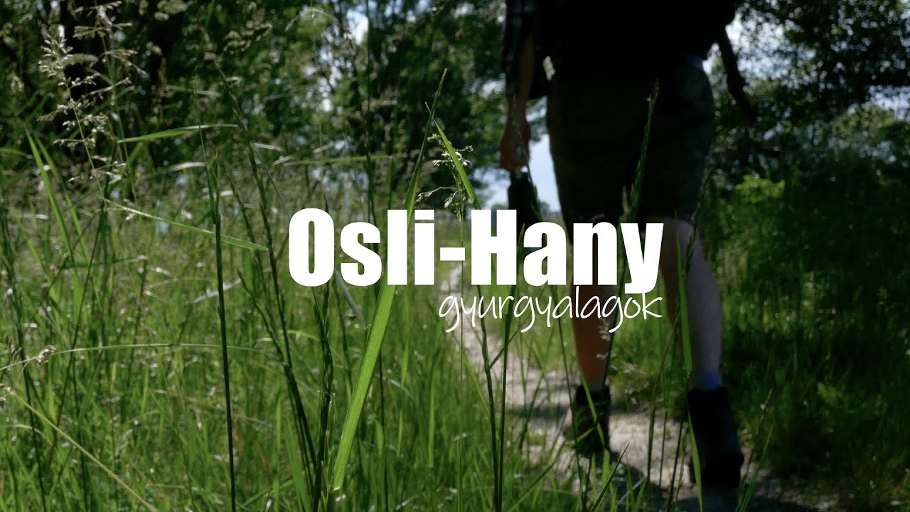 Osli-Hany