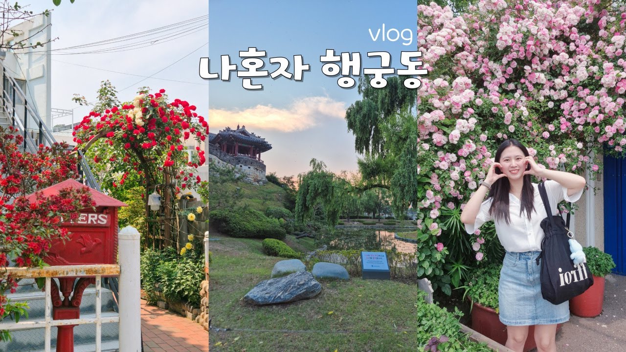 나혼자 수원 행궁동 VLOG🌈 | 행궁동 장미명소🌹 부터 노을맛집🌆 까지!! | 소품샵, 맛집, 카페 추천 | 화성행궁, 용연 | 에그궁, 킵댓, 츄플러스, 보영만두