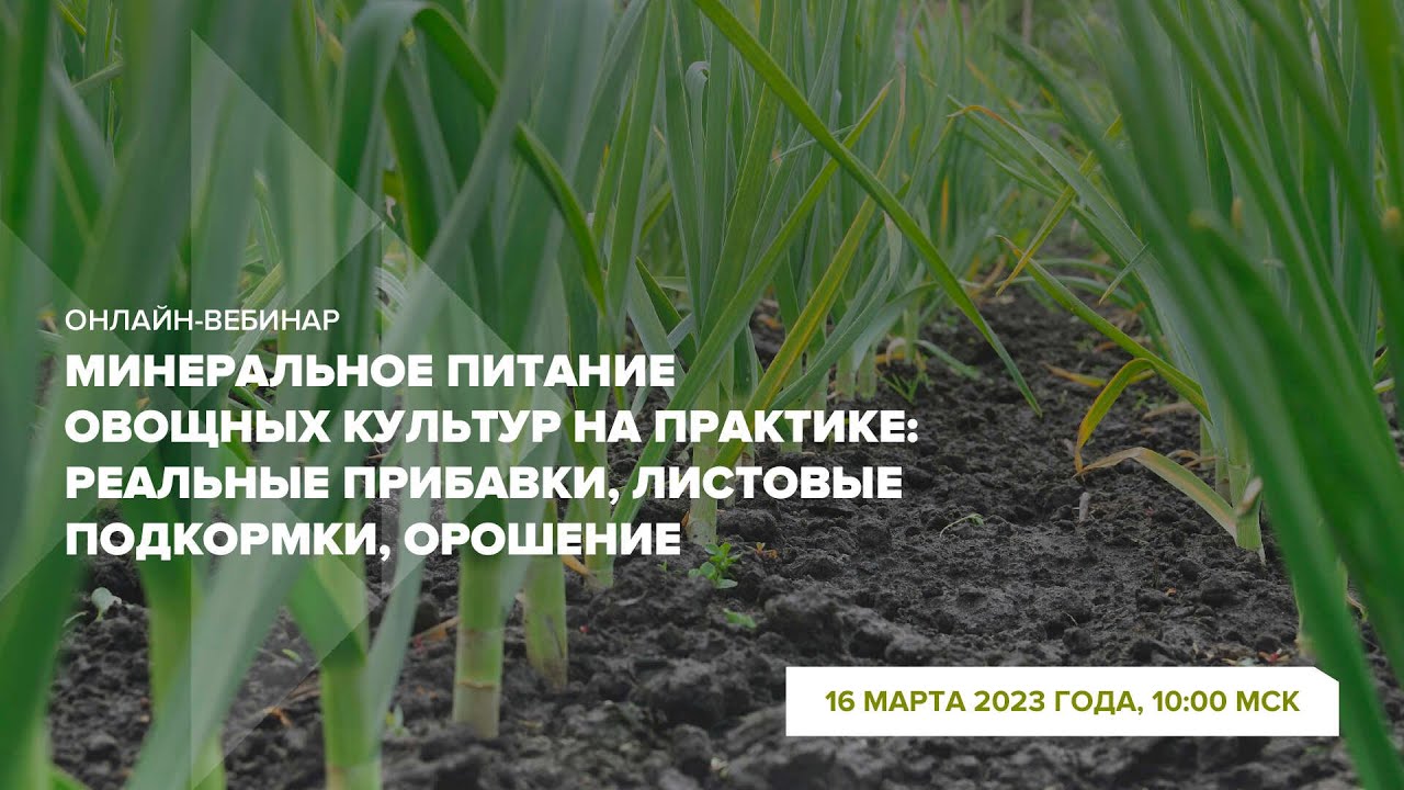 Онлайн-вебинар 
