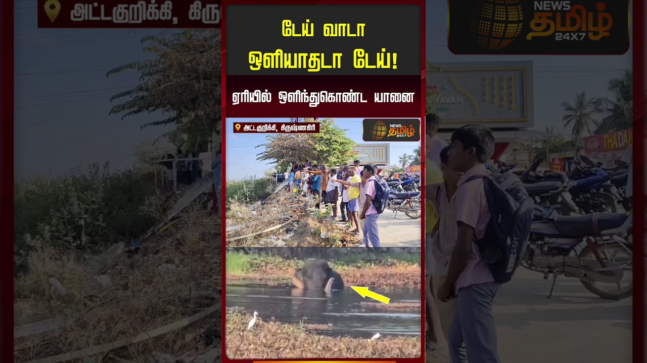 டேய் வாடா ஒளியாதடா டேய்..! ஏரியில் ஒளிந்து கொண்ட யானை | Elephant Hiding In Lake | Krishnagiri |