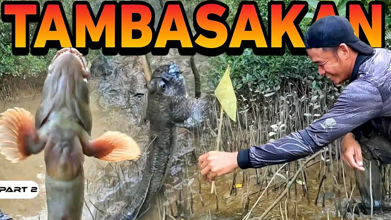 P2 - Panghuhuli ng Tambasakan Gamit ang Patukba - EP2053