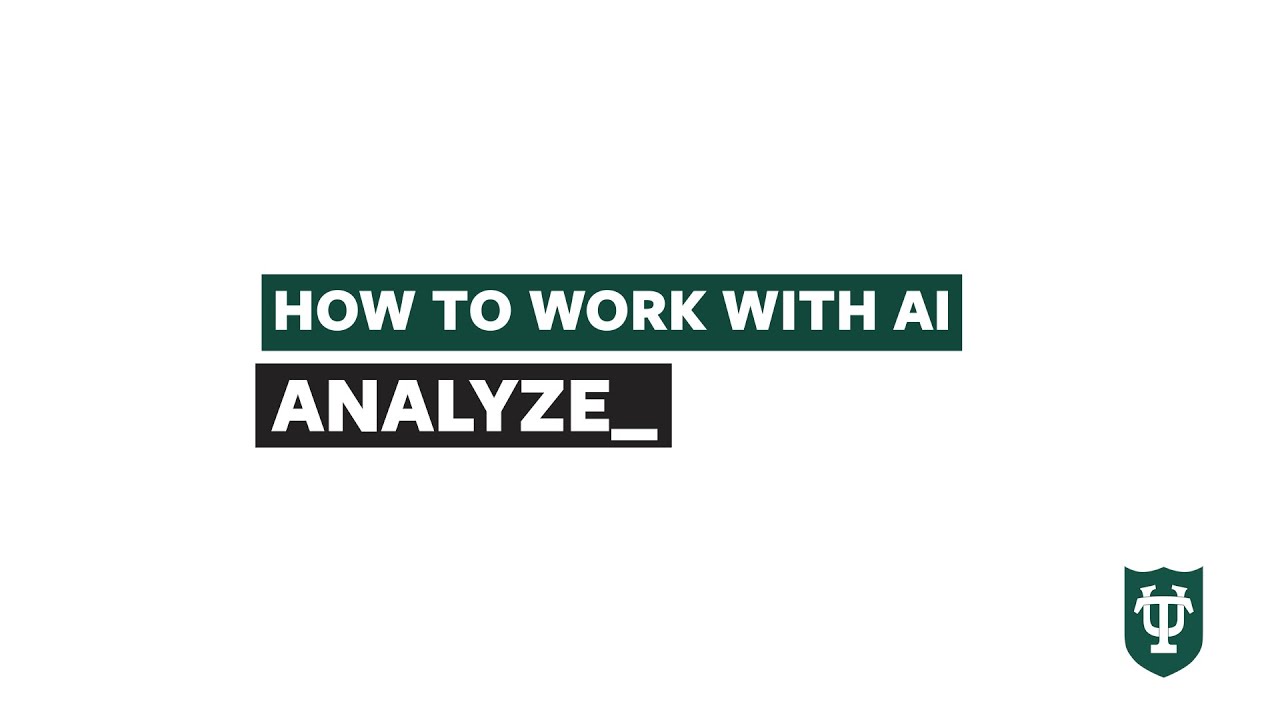 Practical Application of AI: Analyzing Large Text and Data Sets | Working with AI