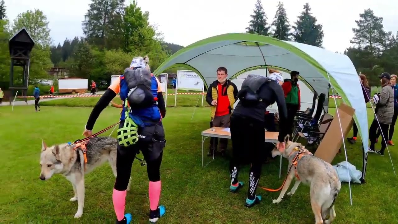Dogtrekking Fatransk&yacute; Vĺčko 2021