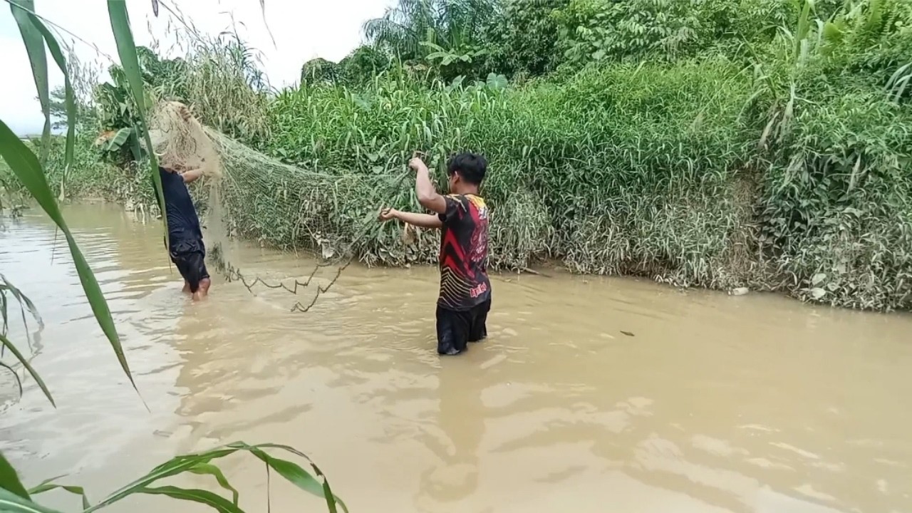 Mencari Ikan Pake Jala || DAPAT IKAN NILA BESAR