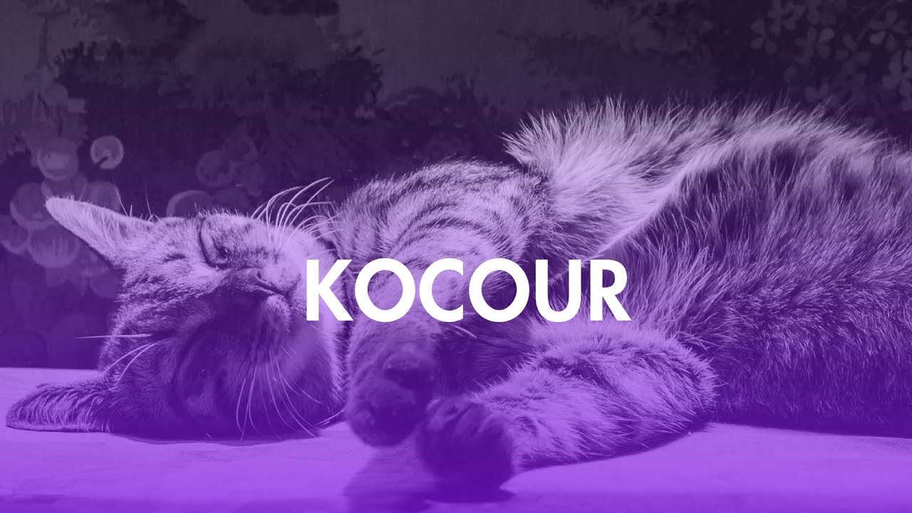 Filip Zangi & PURPUR - Kocour (Official Audio)