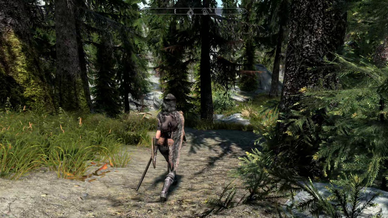 Skyrim - 60fps Test 8000kbps