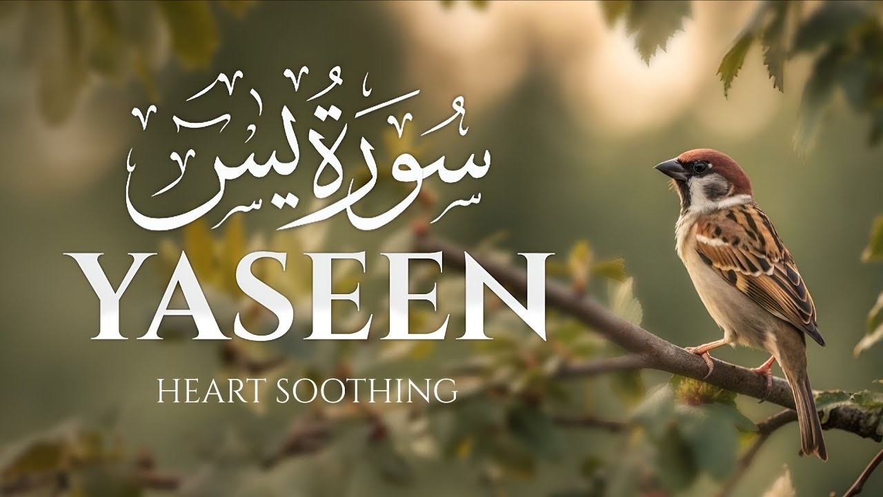 Surah Yaseen Full HD   Complete Tilawat with Arabic Text   Heart Touching Quran Recitation