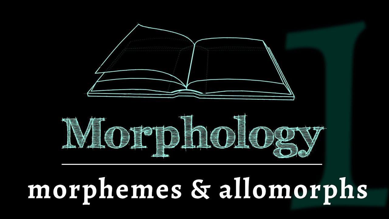 Grammar of Words: Morphemes & Allomorphs (Lesson 1 of 7)