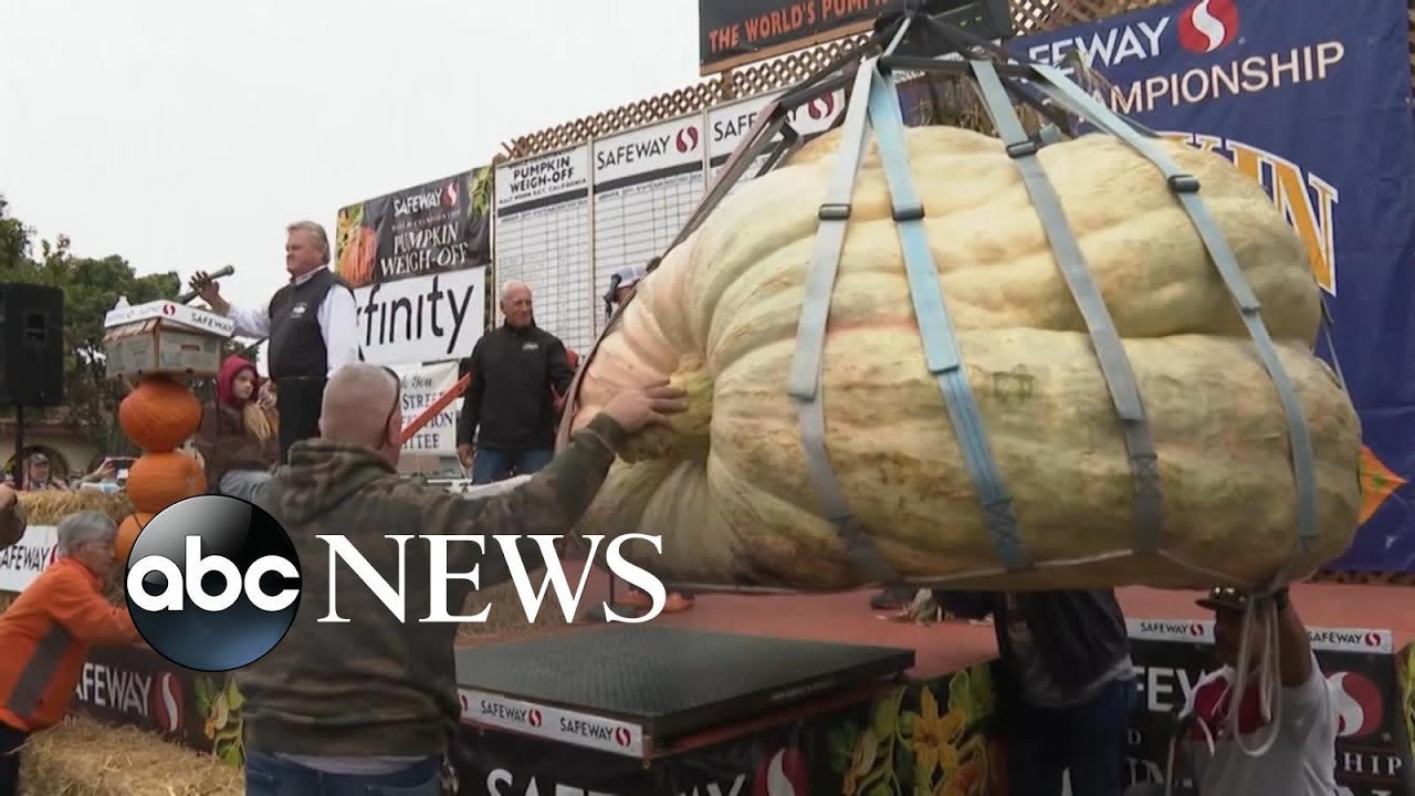 Pumpkin festival’s biggest champion weighs 2,560 pounds