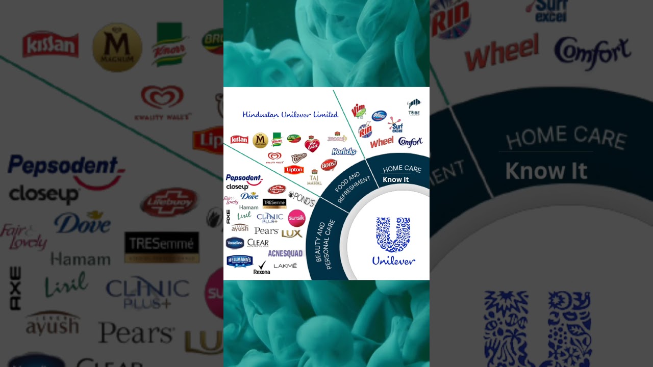India's Business Empire - HUL | Hindustan Unilever Limited | #fmcg #hul #shorts