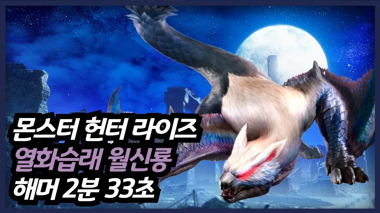 【MHR:SB】 열화습래 나르가쿠르가 희소종 해머 2'33 / Hazard Lucent Nargacuga Hammer 2'33