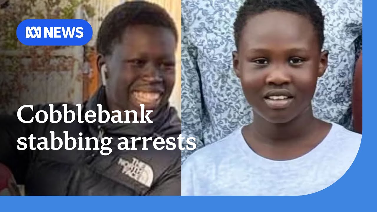 Seven people arrested over stabbing deaths of two Melbourne boys | ABC NEWS