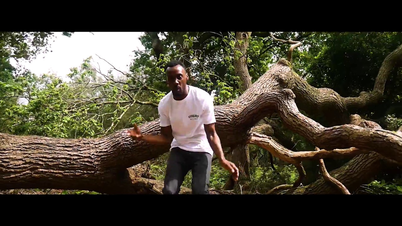Zimbo - Lion Out the Cage