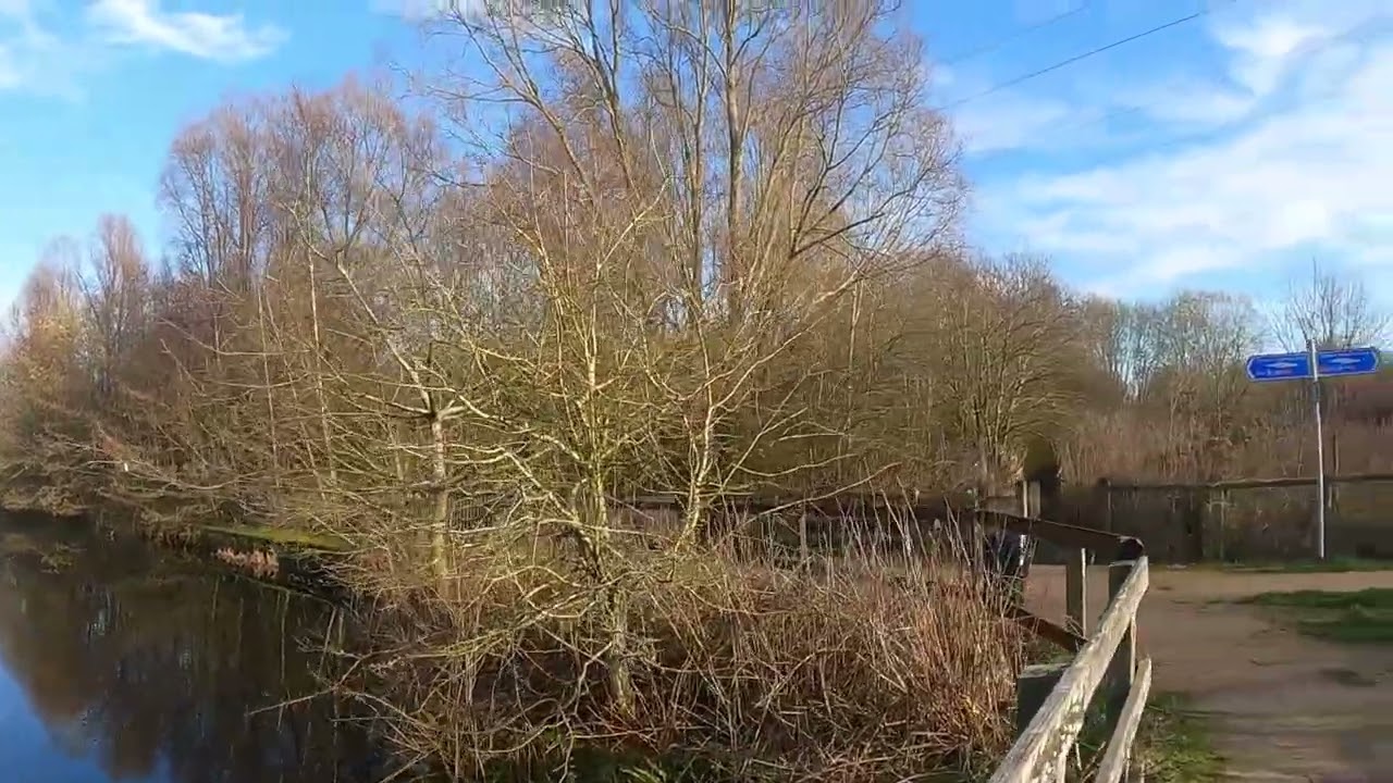 Searching for the big giant head 