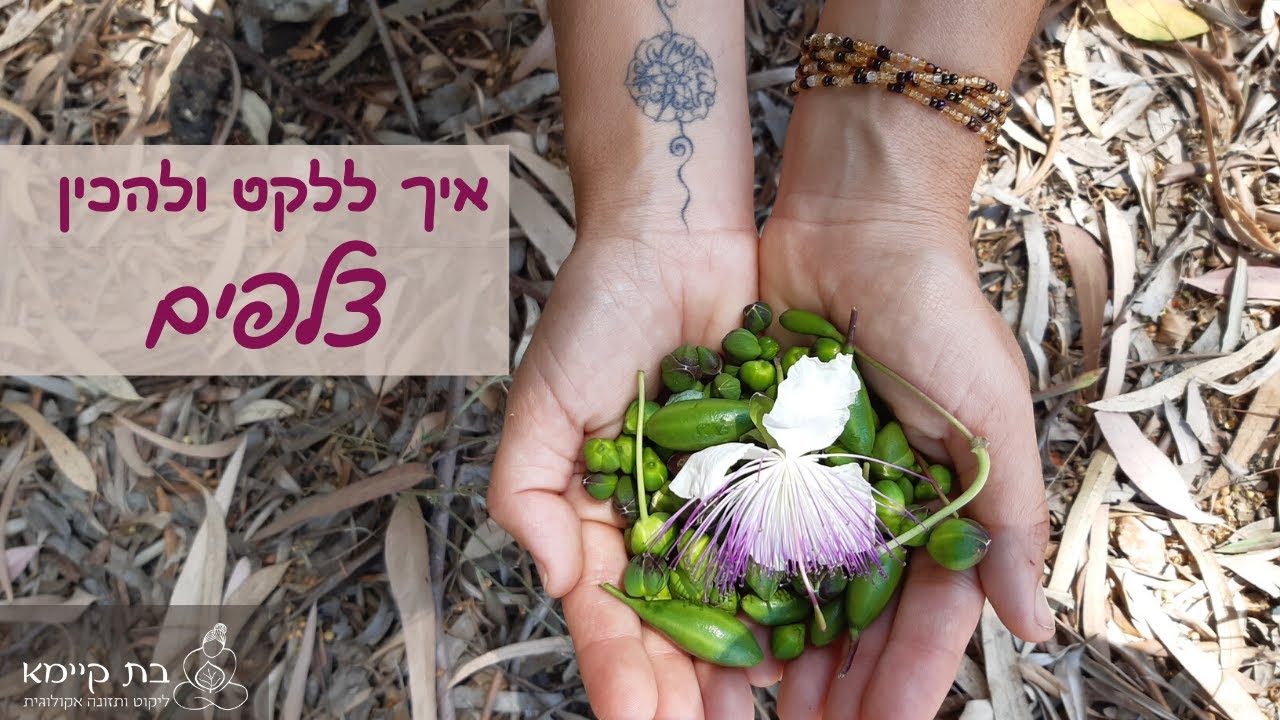 איך ללקט ולכבוש צלפים  - עם בת קיימא