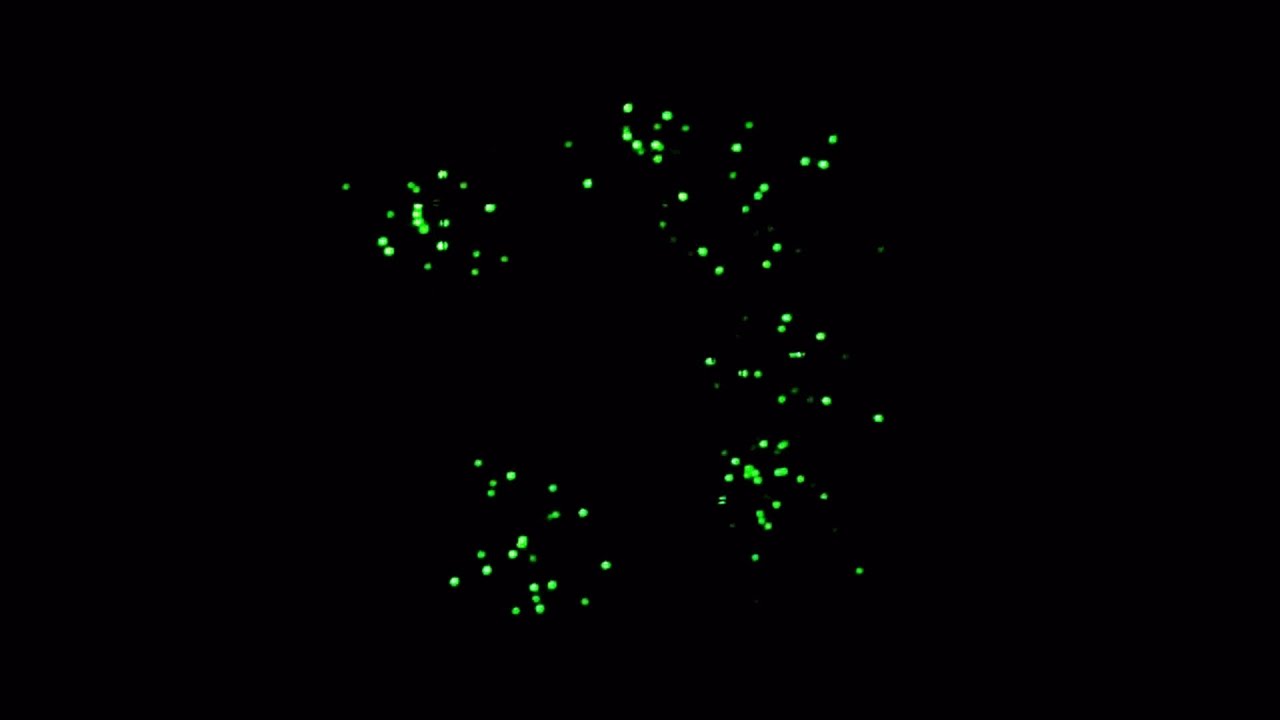 Jerobeam Fenderson - Dots