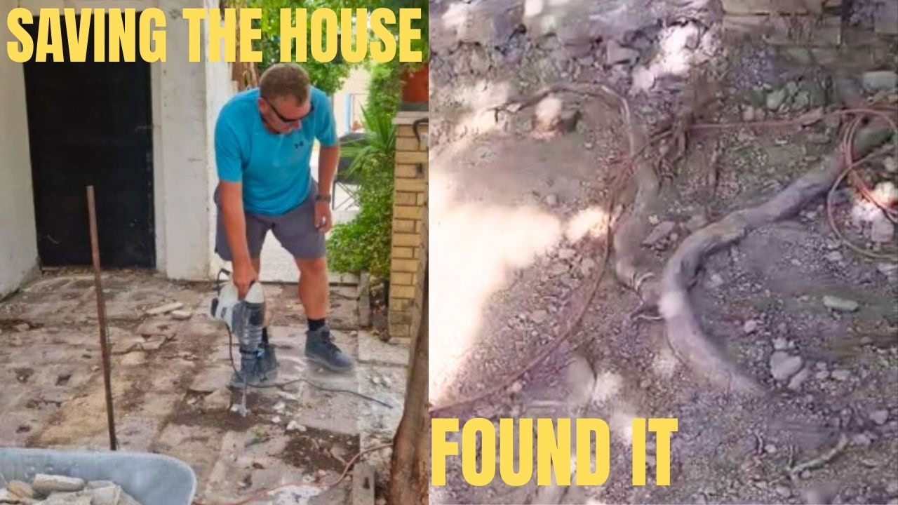 Ripping Up the Terrace: A Race Against Tree Roots| Ep 9