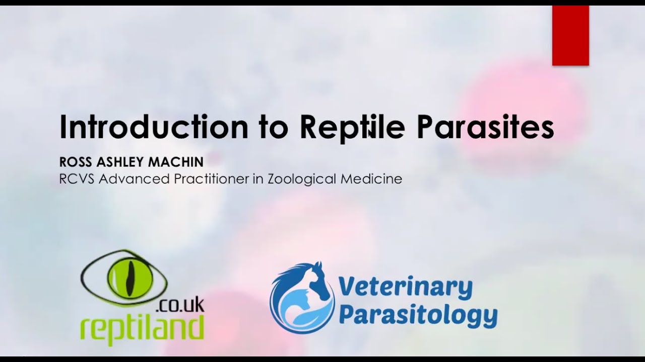 Introduction to Reptile Parasites.