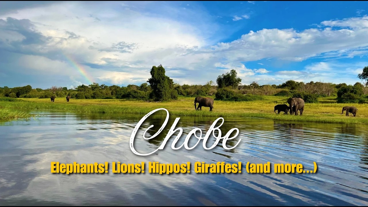 CHOBE WILDLIFE SAFARI - an incredible welcome to Botswana