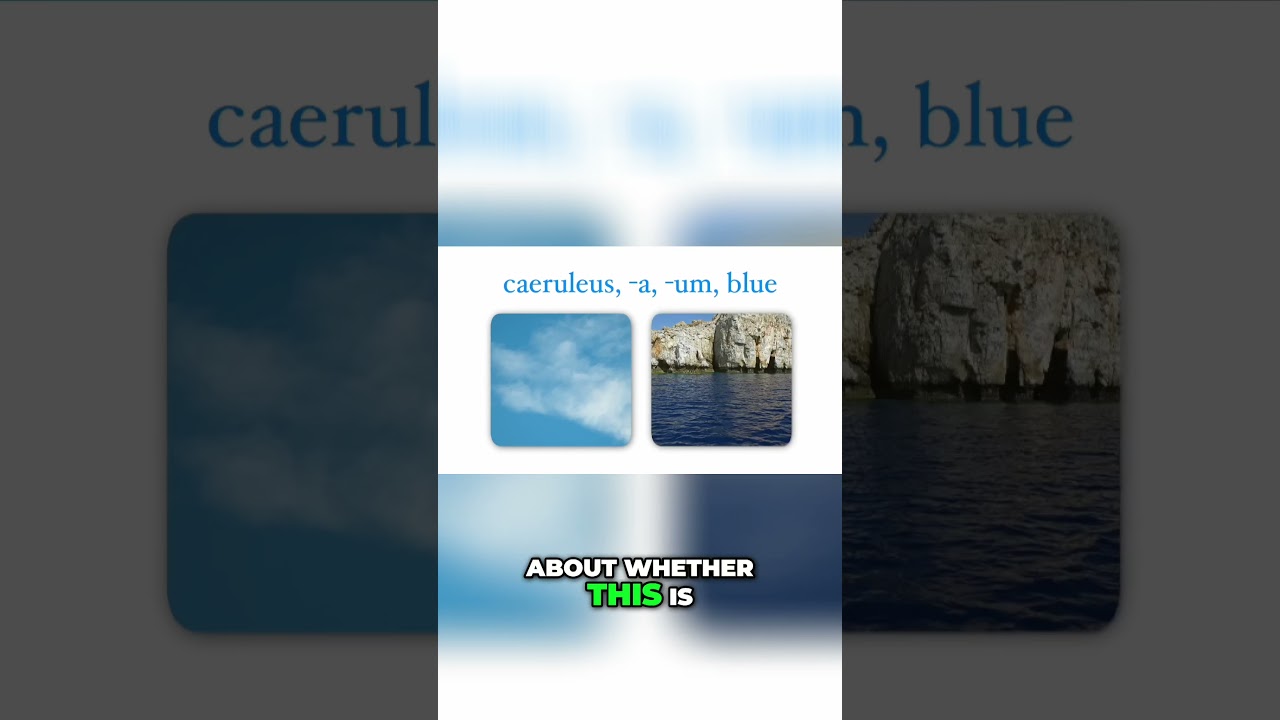 Exploring Blues in Latin &ndash; Connections with the Sea  #latin #ancientrome #romanempire #colors