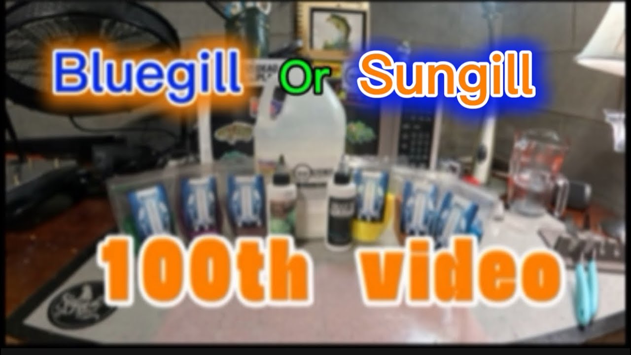 My 100th Video!!! Bluegill color build of sorts 