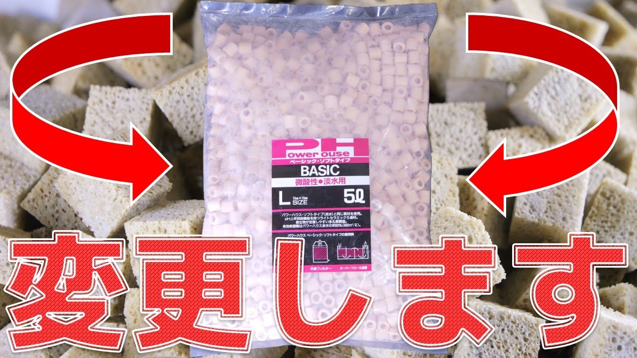 外部式フィルターの中身をネクストジェネレーションバイオメディアSからアレに変更します【ふぶきテトラ】