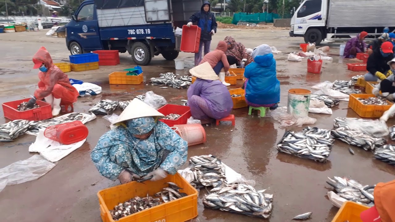 CHỢ BẾN CÁ Ở MIỀN QUÊ XUÂN CẢNH SÔNG CẦU PHÚ YÊN|XỨ NẪU|