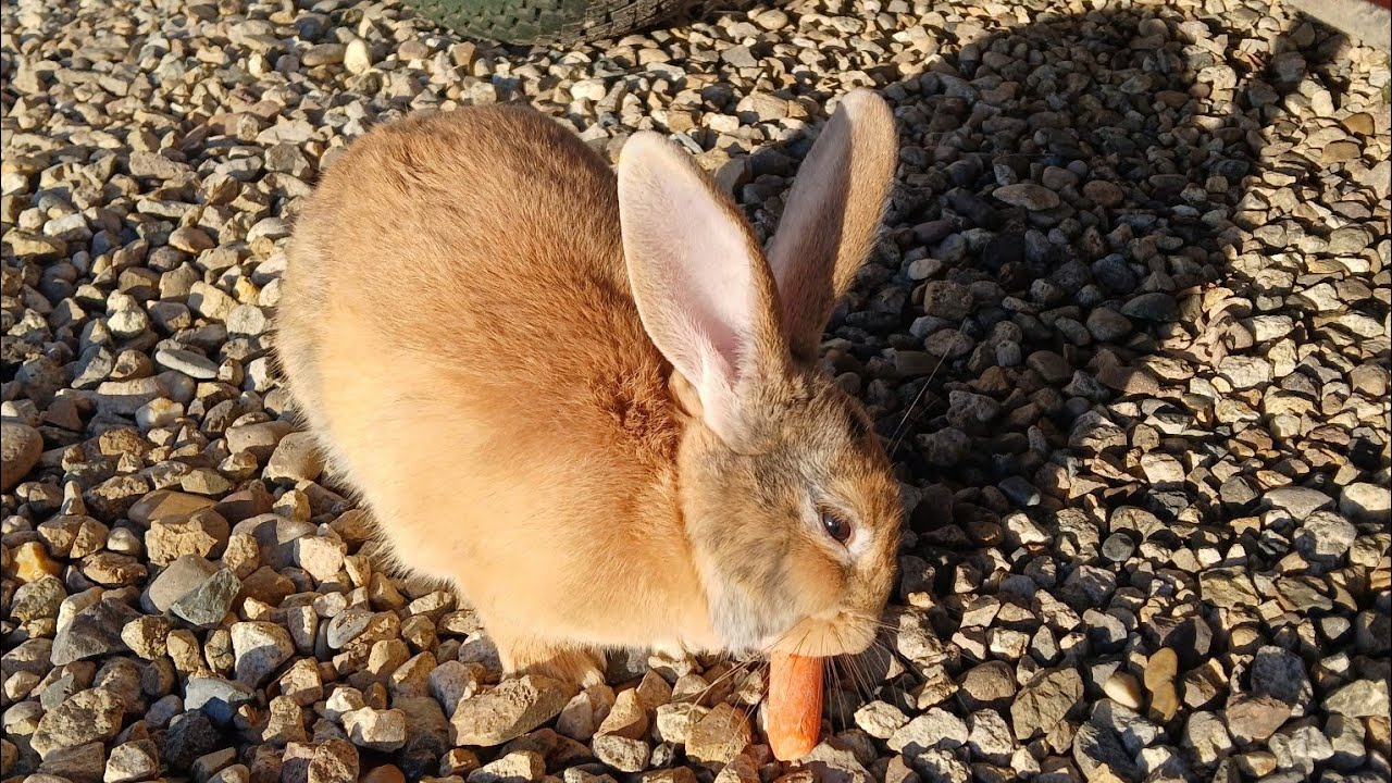 WHY Are people so angry today? I might have a clue. 