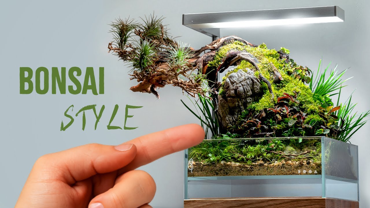 Bonsai-Inspired Paludarium in Neo Glass | Rare Moss & Tillandsia