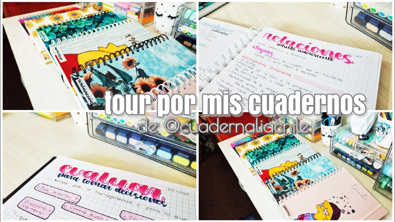 Tour por mis cuadernos de @cuadernaliachile ✨🤍 / @darinkangr