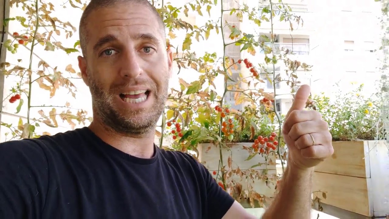 תוצאות ניסוי מצעי שתילה ותוספים לגידול ירקות ופרחים במרפסת - 95 ימים אחרי 10.5-15.8