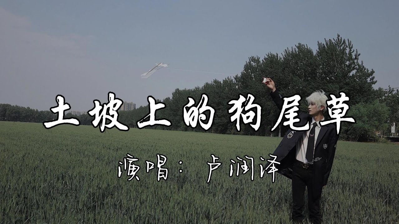 卢润泽 - 土坡上的狗尾草『小黄（狗）我又买了你爱吃的肉，可你却不在我左右，我还没能给你好生活，来世你要投个好人家。』『动态歌词MV』
