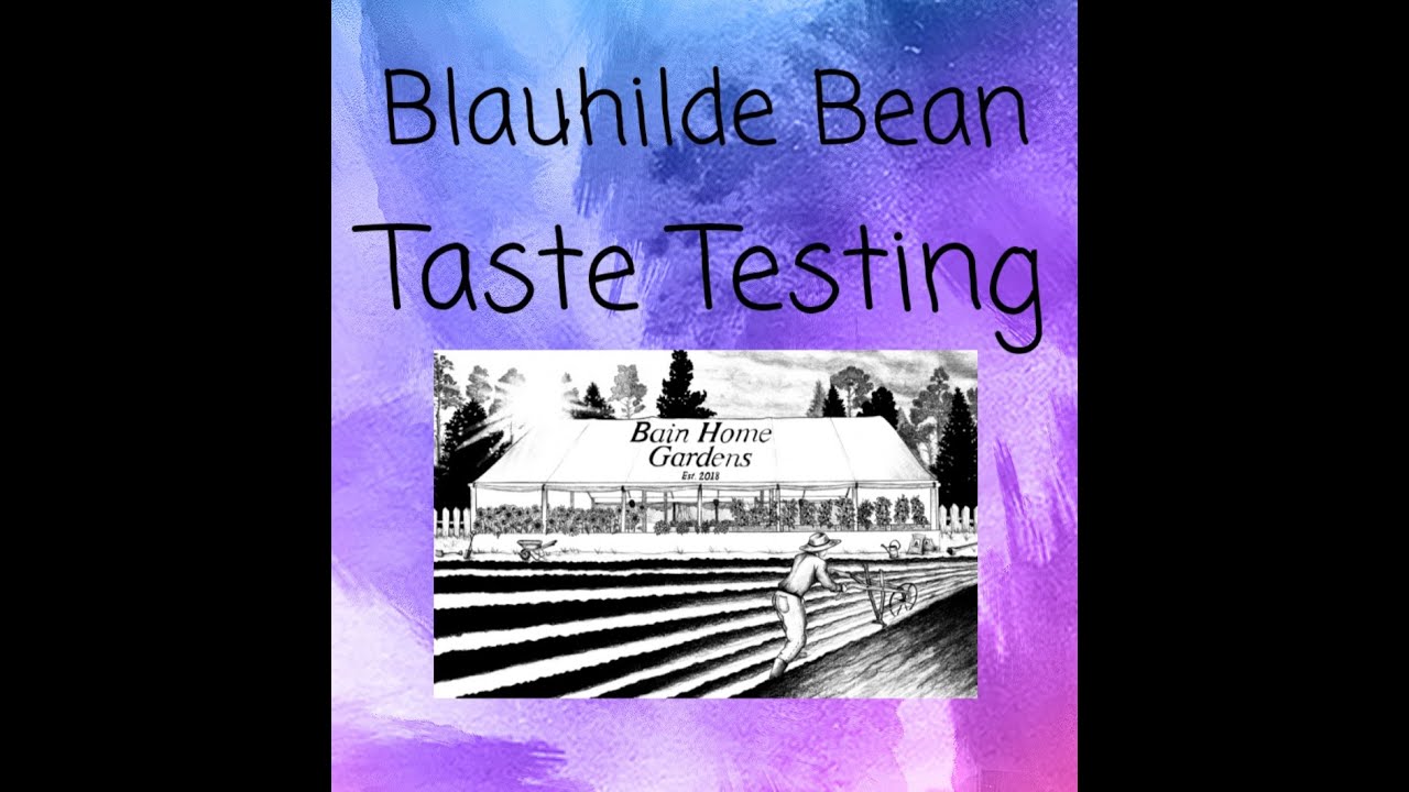 Blauhilde Bean Taste Testing!