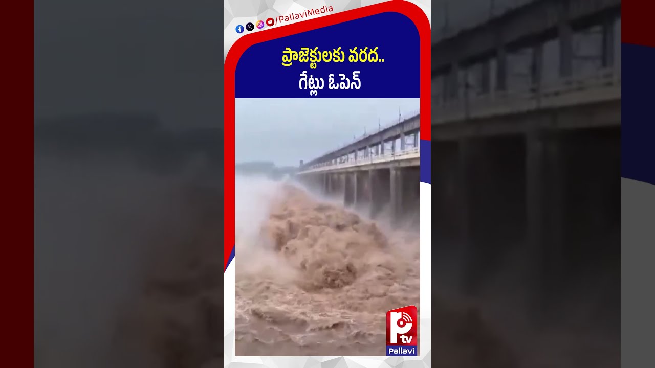 ప్రాజెక్టులకు వరద..గేట్లు ఓపెన్​: Massive Flood Inflows into Telangana Projects | Dam Gates Open