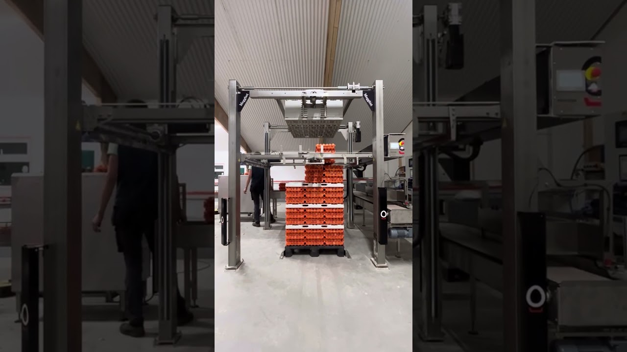 Meggson TP100 installed to a Davidson packer