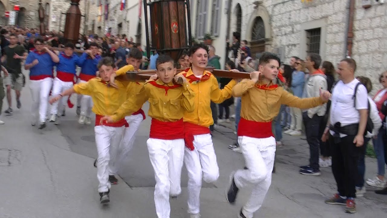 CERI PICCOLI 2024