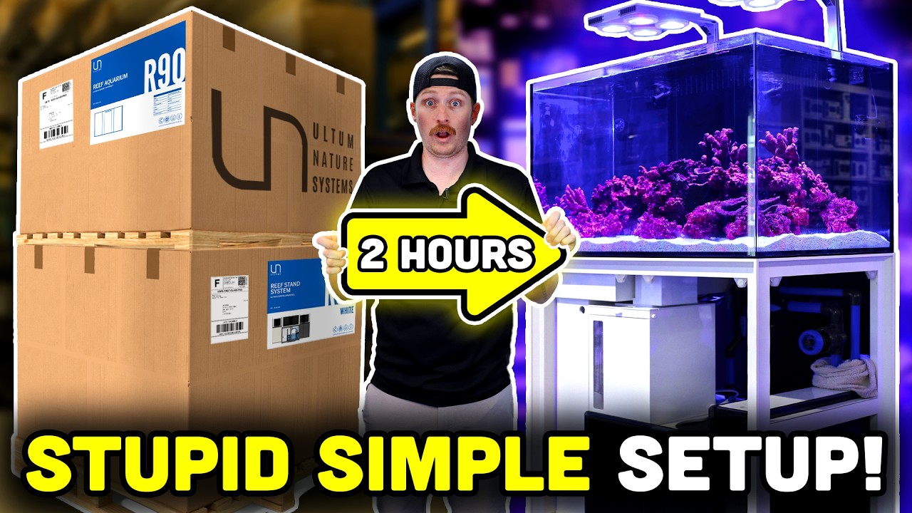 UNS R90 Tank Build From Start to Finish! The Easiest Tank on the Market?