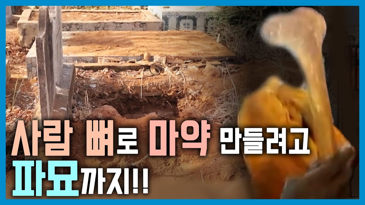 마약에 취한 시에라리온 (KBS_352회_2024.4.13.방송)