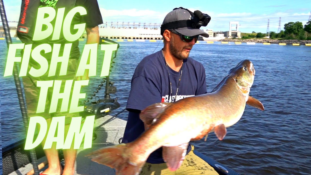 Big Summer Musky At the Dam